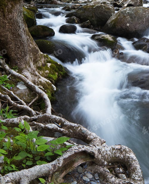 Preview: A Magical Acadia,Usa pictures