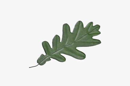 Preview: Green Oak Leaf with Lobed Edges