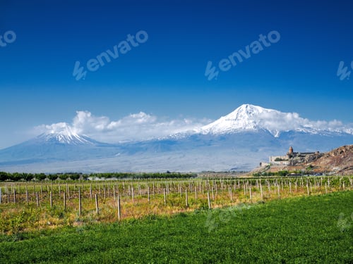 Preview: rows of green plants on agriculture field with mountains and castle on background, Armenia