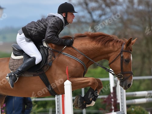 Preview: Show Jumping