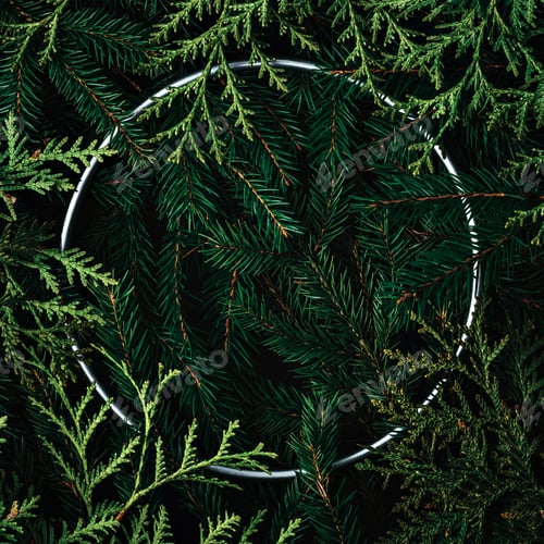 Preview: Christmas mockup with pine branches forming circular pattern with metallic accent on dark background