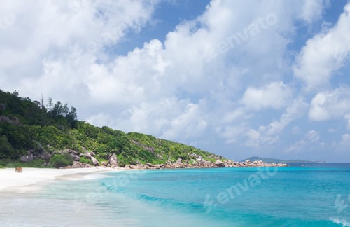 Preview: Tropical beach with palm trees