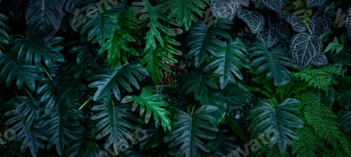 Creative nature green background.