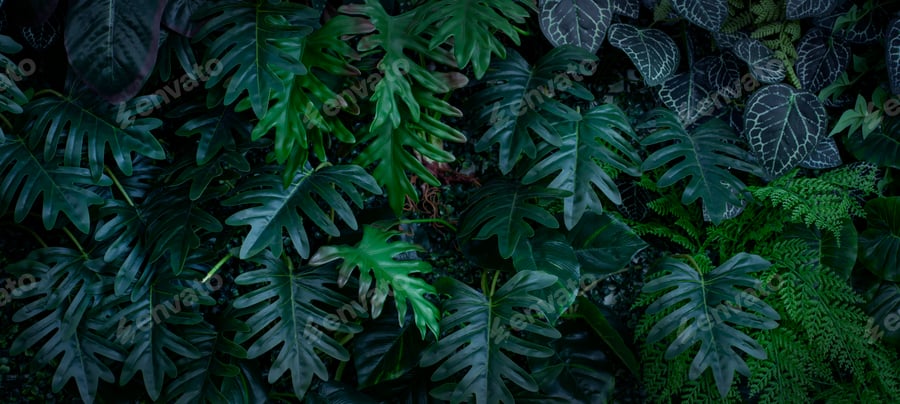 Cover for Creative nature green background.