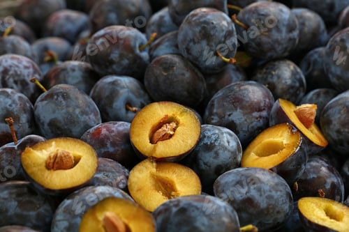 Preview: Fresh ripe blue plums close up at farmers market