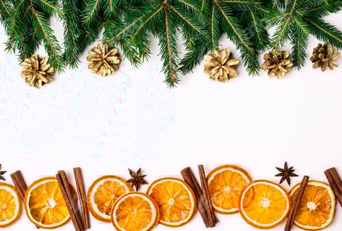 Visualização: Christmas Nature: borda de galhos de abeto e fatias de laranjas secas