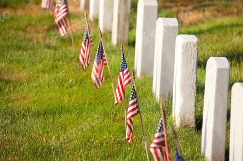 Preview: Flags Waving Over Grave Markers in Green Grass