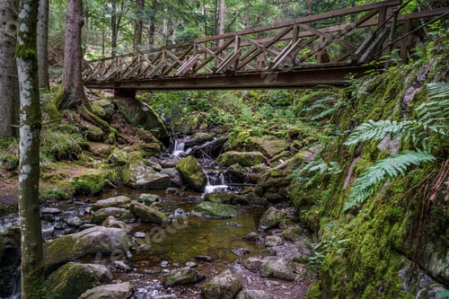 Preview: Wooden bridge over a small river streaming through the mossy rocks