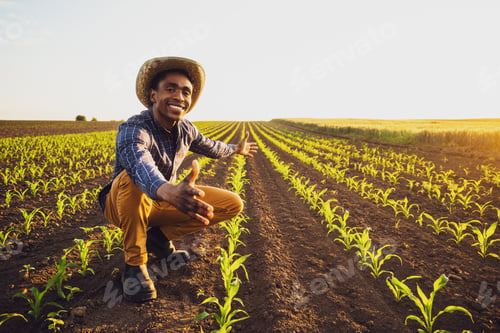 Preview: Farmer in his agricultural field