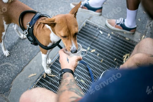 Preview: Cute little puppy or dog licks out milk from cup