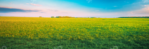 Preview: Agricultural Landscape. Countryside Rural Field