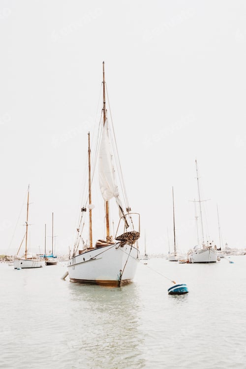 Preview: Vertical shot of white sailboats waiting for adventurous passengers in Newport Beach, California.