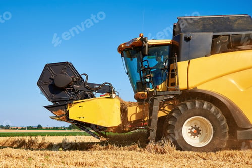Preview: Combine harvester harvesting golden ripe wheat in agricultural field