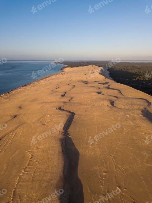 Preview: an aerial view of the beach and ocean near to trees