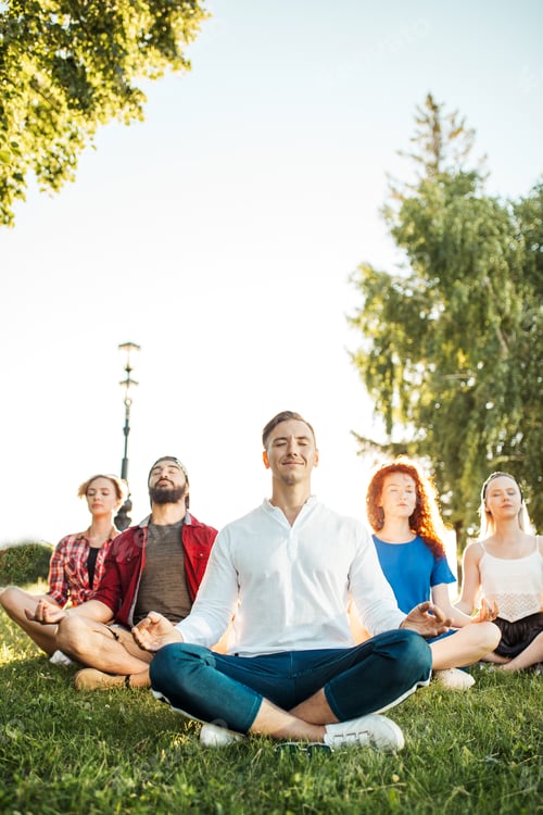Preview: Group of adult mix-race friends meditating while practice yoga outside in park.