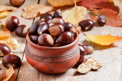 Preview: Edible chestnut harvest in a clay pot in the autumn with fallen leaves