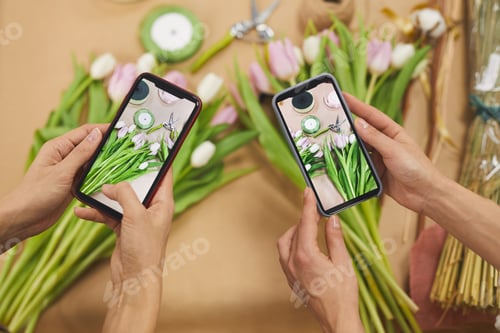Preview: Taking Photo of Tulips Flowers
