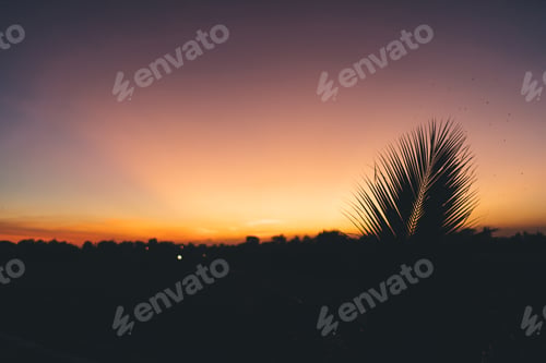 Preview: Breathtaking summertime