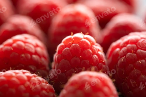 Preview: Fresh red raspberries