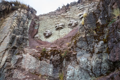 Preview: Dinosaur footprints