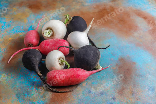 Preview: Various fresh radishes,white radish,long pink radish and black radish.