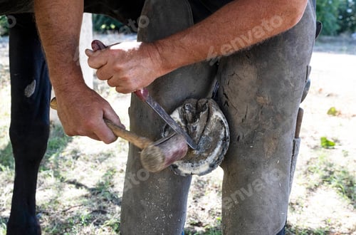 Preview: Farrier works in a field