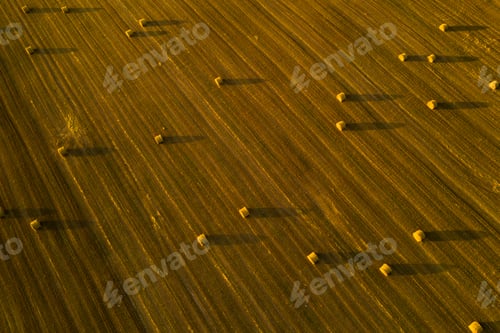 Preview: Straw bales on farmland with a blue cloudy sky.Harvested field with bales in Europe.Harvest.Belarus