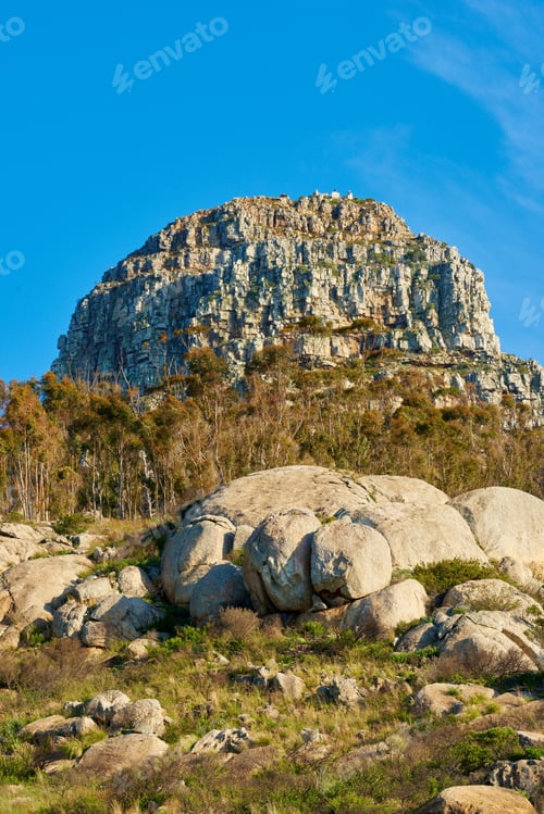 Preview: Lions Head