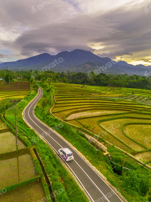 Preview: Beautiful morning view in Indonesia, panoramic landscape of rice fields