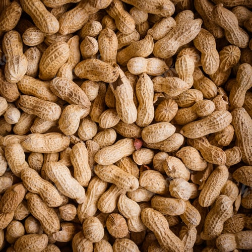 Preview: Peanuts background. Raw peanuts. Many peanuts in shells