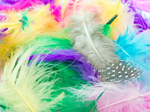 Preview: Colorful feathers background
