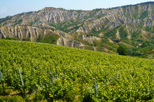 Preview: Rural landscape on the hills near Imola and Riolo Terme