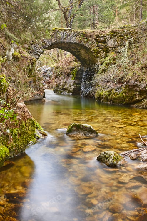 Preview: Forest and creek. Angostura picturesque stone bridge in Madrid. Spain