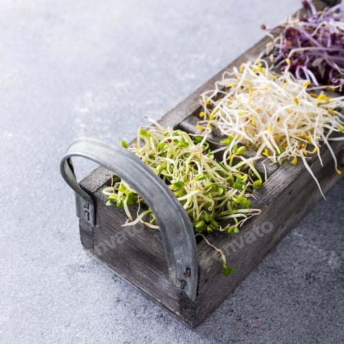 Preview: Assorted vegetable sprouts