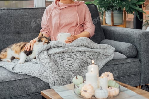 Preview: Close up woman in plaid holding cup of tea or coffee, watching movie, TV with multicolored cat