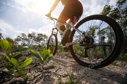 Preview: Woman cyclist cycling on mountain top forest trail