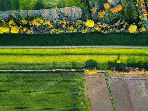 Preview: Aerial view of a green field