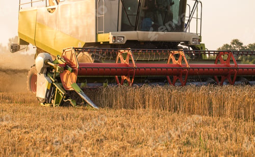 Preview: Harvester in wheat field