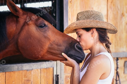 Preview: Woman taking care of his brown horse in the stable