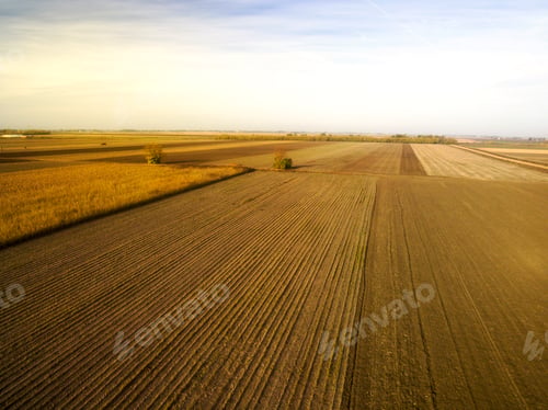 Preview: Patterns of Farm Fields in the Rural Landscape