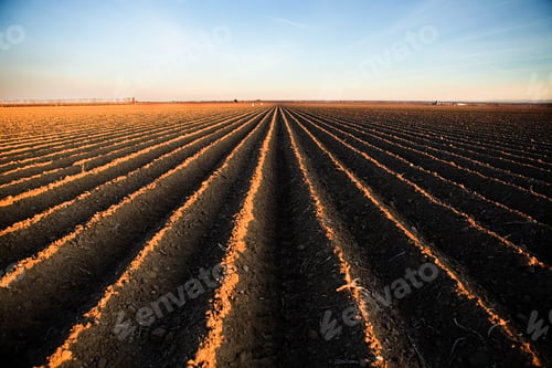 Preview: Ridges in field