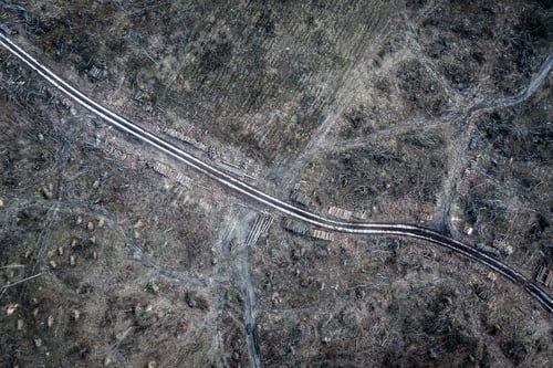 Preview: Aerial view of horrible deforestation. harvesting a forest, Europe