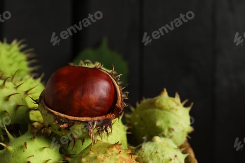 Preview: Green chestnut fruits in a wicker basket on a dark background
