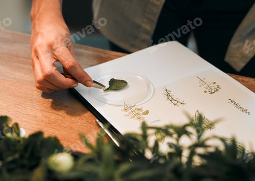 Preview: Cropped shot of an unrecognizable botanist studying and experimenting with plant inside her office