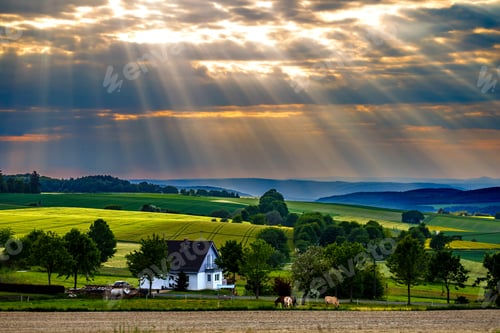 Preview: Beautiful scenery of a green landscape with trees under the sunset sky