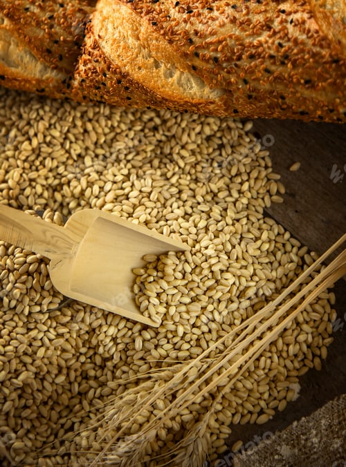 Preview: Delicious Fresh Bread Food Concept