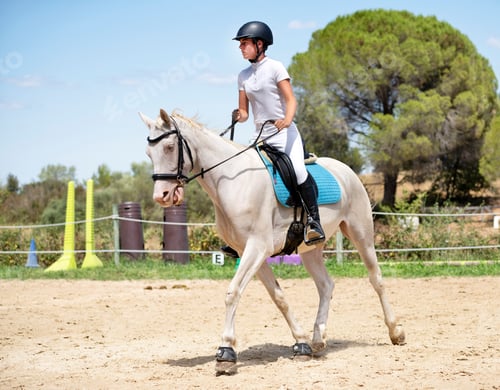 Preview: riding girl and horse