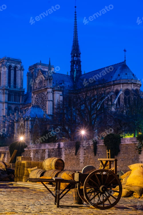 Preview: Notre Dame de Paris Cathedral