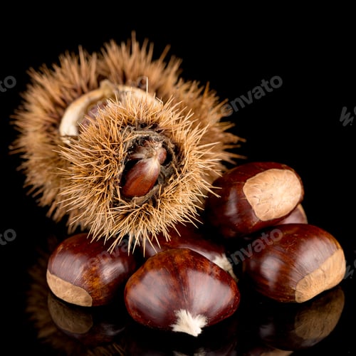 Preview: Chestnuts on a black reflective background