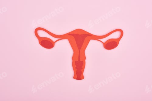 Preview: top view of red paper cut female reproductive internal organs on pink background